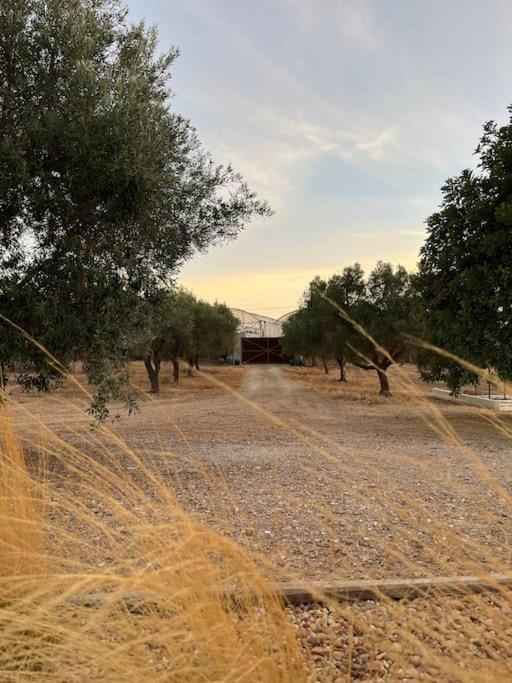Quinta Da Alfarrobeira Peaceful Countryside Stay ファロ エクステリア 写真