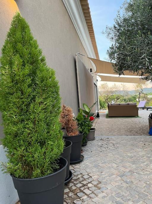 Quinta Da Alfarrobeira Peaceful Countryside Stay ファロ エクステリア 写真