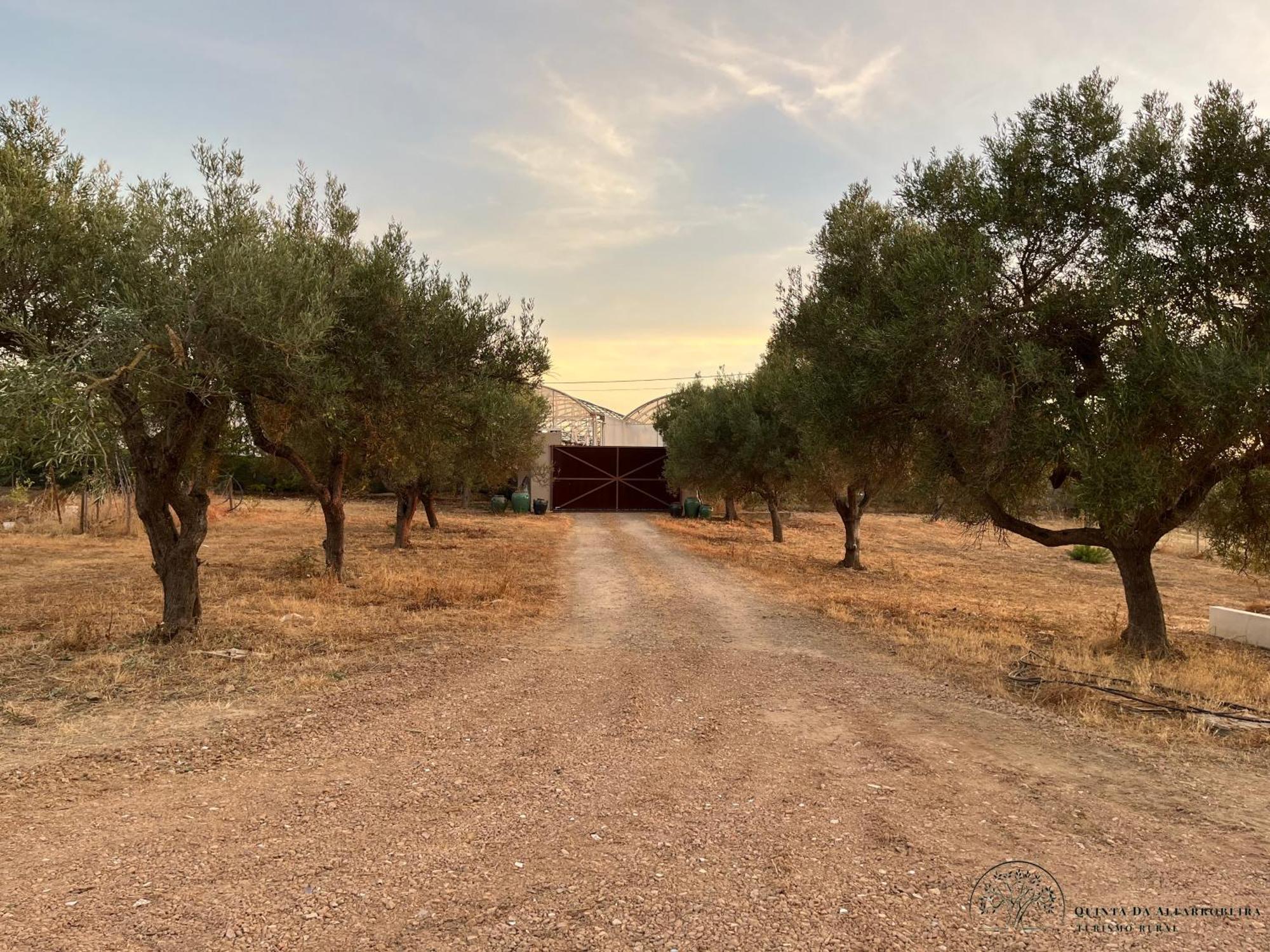 Quinta Da Alfarrobeira Peaceful Countryside Stay ファロ エクステリア 写真